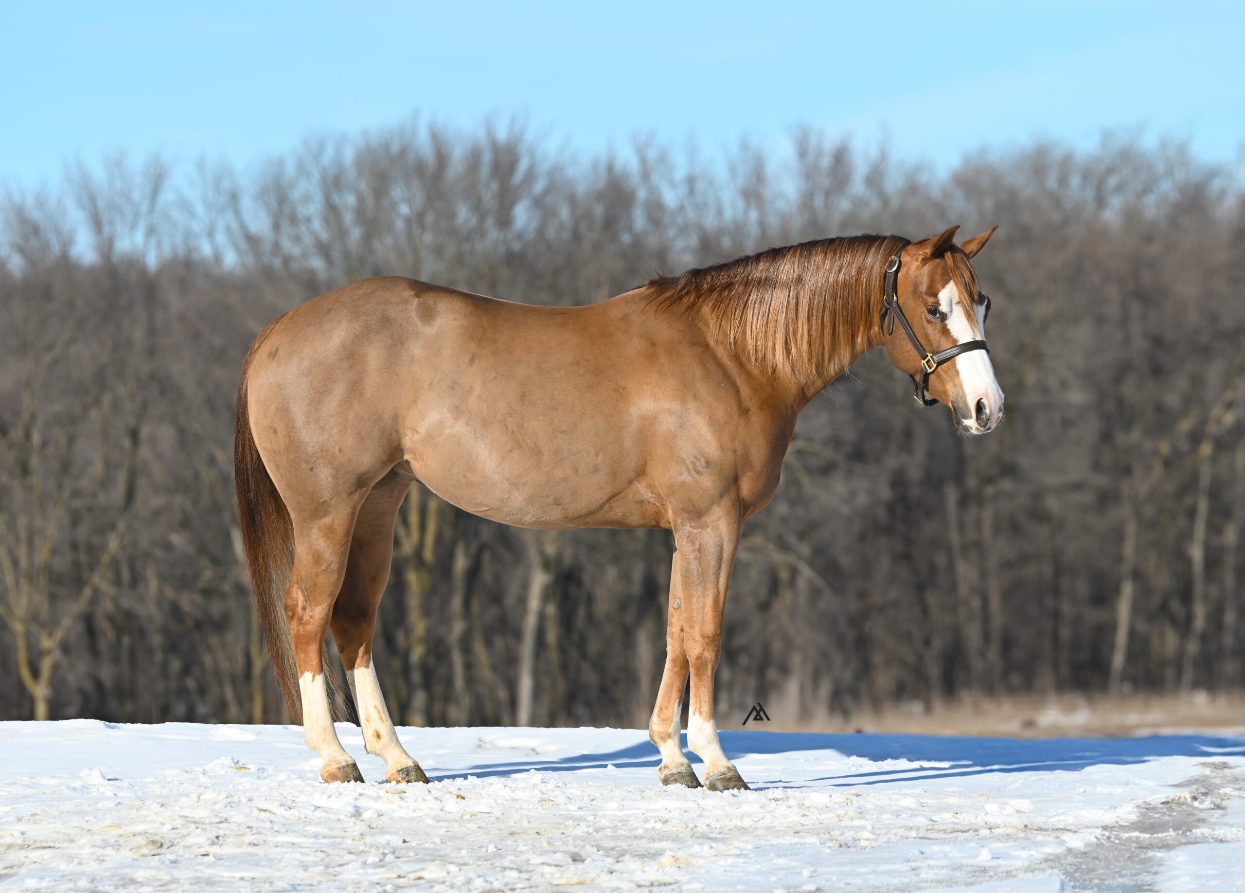 Gunna Be Ur Number One