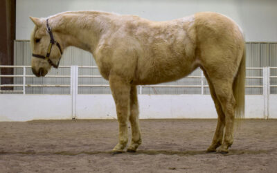 Hooked Up In Laramie