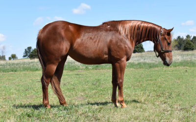 AtonedFromBubblyFire