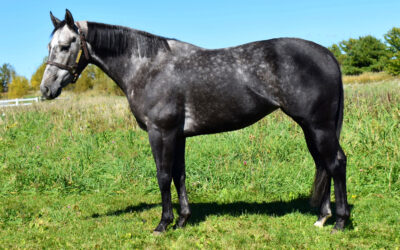 Gimme Three Diamonds