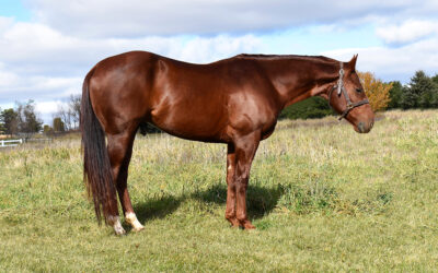 Frost In My Firewatr