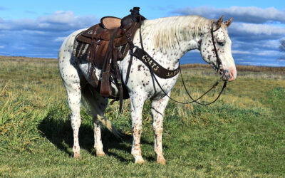 JBJ’s Incomparable