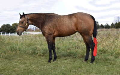 JRFirewaterOfAnAngel