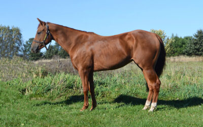 Boating On The Rhine
