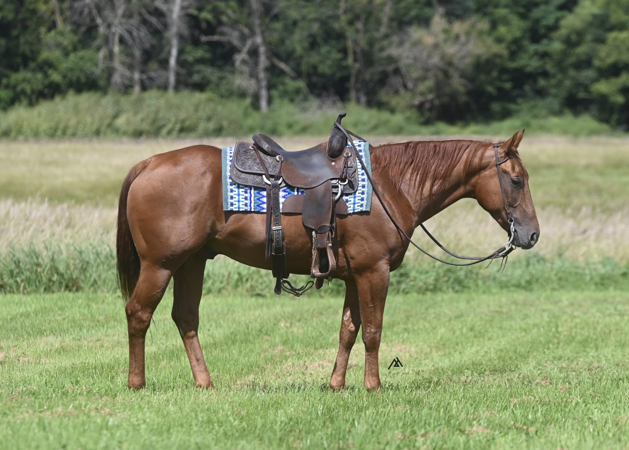 Happy To Be Believin